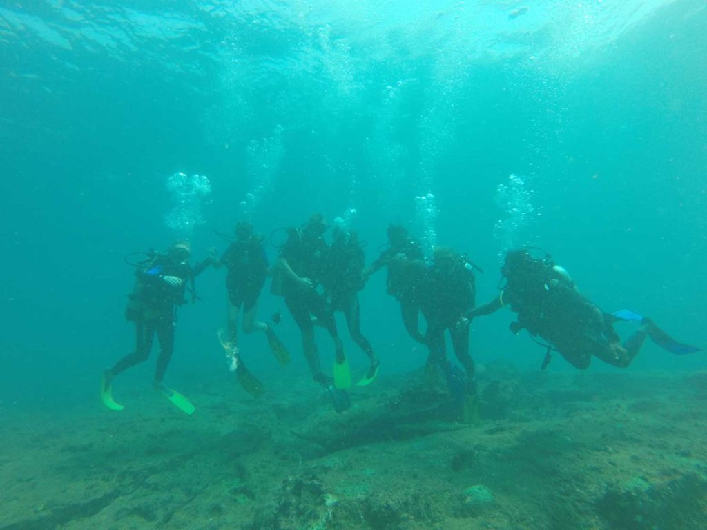 Dive for Good Dive Seenigama Dive Lanka