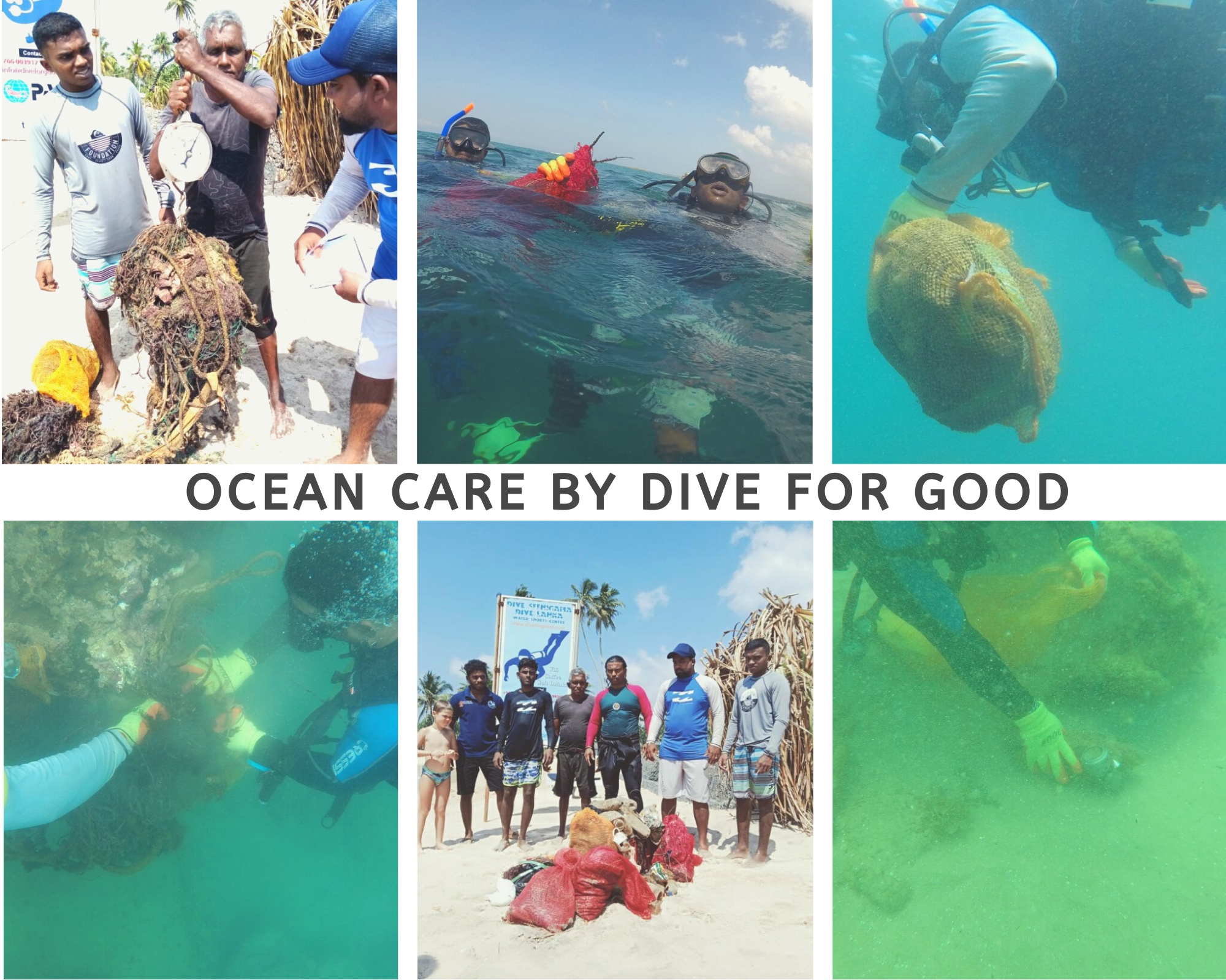 ocean_care_foundation_of_goodness_sri_lanka ocean_care_foundation_of_goodness_sri_lanka